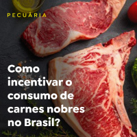 Como incentivar o consumo de carnes nobres no Brasil?
