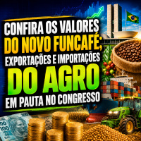 Confira os valores do novo Funcafé exportações e importações do agro em pauta no Congresso