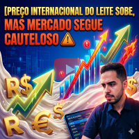 Preço internacional do leite sobe, mas mercado segue cauteloso