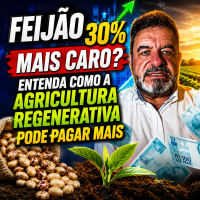 Feijão 30% mais caro? Entenda como a Agricultura Regenerativa pode Pagar mais 