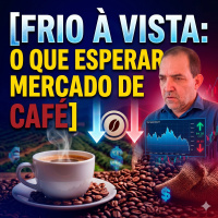 Frio à vista, mas sem geada: O que esperar do mercado de café até fina da primeira quinzena de maio? 