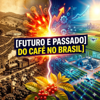 O futuro e o passado do café no Brasil: CNC comemora 45 anos e projeta ainda mais força na cafeicultura nacional