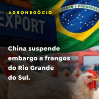 China suspende embargo a frangos do Rio Grande do Sul 