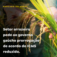 Setor arrozeiro pede ao governo gaúcho prorrogação de acordo do ICMS reduzido