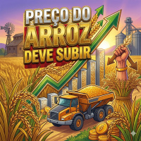 05 Preço do arroz nos supermercados deve voltar a subir reposições vão ganhar ritmo