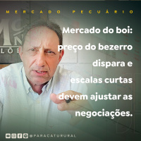 MERCADO PECUÁRIO