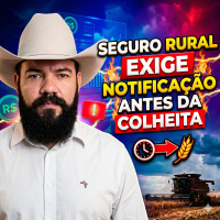 Seguro rural exige notificação antes da colheita e organização de provas em caso de perdas