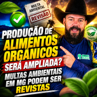 Produção de alimentos orgânicos será ampliada? Multas ambientais em MG podem ser revistas