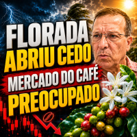 Florada abriu cedo: Por que o mercado do café está tão preocupado?