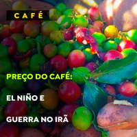 Preço do café: El Niño e Guerra no Irã