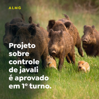 Projeto sobre controle de javali é aprovado em 1º turno