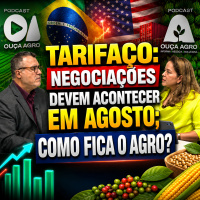 Tarifaço: negociações devem acontecer em agosto como fica o agro?