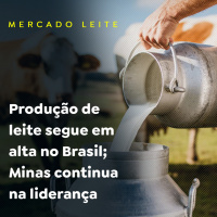 Produção de leite segue em alta no Brasil Minas continua na liderança