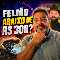 Feijão abaixo de R$ 300? 4 Motivos para ficar atento ao mercado 