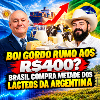 Boi Gordo Rumo aos R$400? Brasil Compra metade dos Lácteos da Argentina