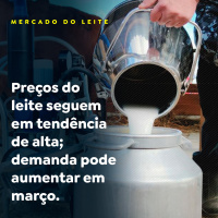Preços do leite seguem em tendência de alta demanda pode aumentar em março
