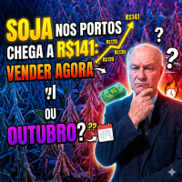 Soja nos Portos chega a R$141: Vale a pena vender agora ou esperar outubro?