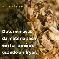 Determinação da matéria seca em forrageiras usando air fryer