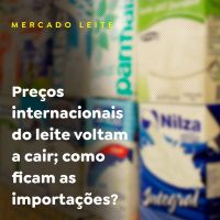 Preços internacionais do leite voltam a cair como ficam as importações?