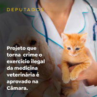 Projeto que torna crime o exercício ilegal da medicina veterinária é aprovado na Câmara