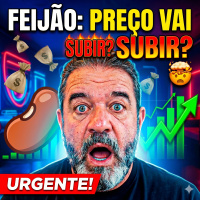 Mercado do feijão: preço vai subir? compradores do Nordeste buscam lotes no MT