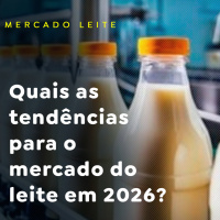 Quais as tendências para o mercado do leite em 2026?