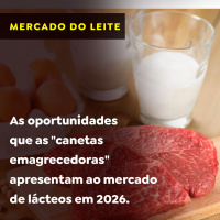 As oportunidades que as canetas emagrecedoras apresentam ao mercado de lácteos em 2026
