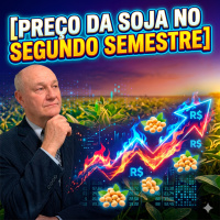  Preço da Soja no Segundo Semestre Segunda Metade de Maio Pode Ser Decisiva