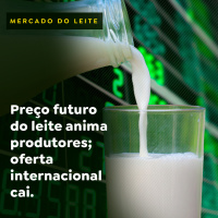 Preço futuro do leite anima produtores oferta internacional cai