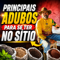 Principais adubos para se ter no sítio 