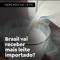 Brasil vai receber mais leite importado?