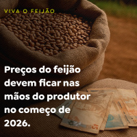 Preços do feijão devem ficar nas mãos do produtor no começo de 2026