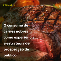 O consumo de carnes nobres como experiência e estratégia de prospecção de público
