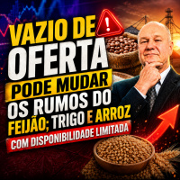 Vazio de oferta pode mudar os rumos do feijão trigo e arroz com disponibilidade limitada