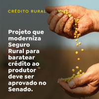 Projeto que moderniza Seguro Rural para baratear crédito ao produtor deve ser aprovado no Senado