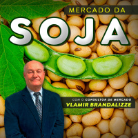 Soja pode ser substituída pelo milho?