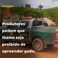Produtores pedem que Ibama seja proibido de apreender gado