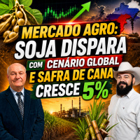 MERCADO AGRO: Soja dispara com cenário global e safra de cana cresce 5%