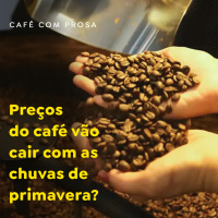 Preços do café vão cair com as chuvas de primavera?