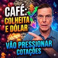  Preço do café início da colheita e dólar vão pressionar cotações