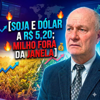 Soja e dólar a R$ 5,20 Milho fora da janela e o risco de geada