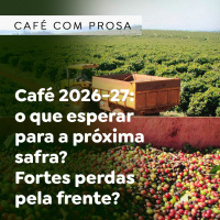 Café 2026-27: o que esperar para a próxima safra? Fortes perdas pela frente?