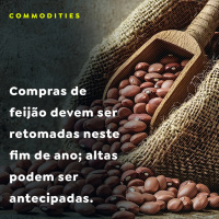 Compras de feijão devem ser retomadas neste fim de ano altas podem ser antecipadas