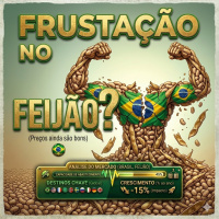 Frustração no feijão? Preços ainda são bons