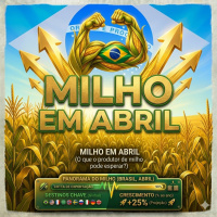 O que o produtor de milho pode esperar em abril?