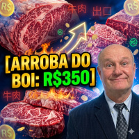 Arroba do Boi: Cotações em R$350 e o fôlego das exportações para a China