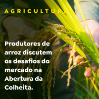AGRICULTURA