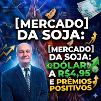  Mercado da soja Dólar a R$4,95 e prêmios positivos O que esperar do preço no porto