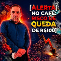 Alerta no Café: A Variação dos Preços e o risco de queda de R$100 no físico