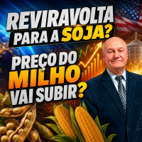 Reviravolta para a soja? Preço do milho vai subir?